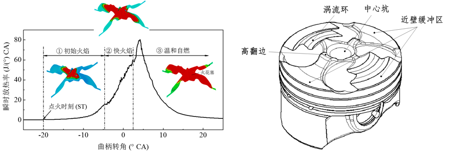 点燃-压燃三阶段放热特征（左）与涡流环型燃烧室（右） .png